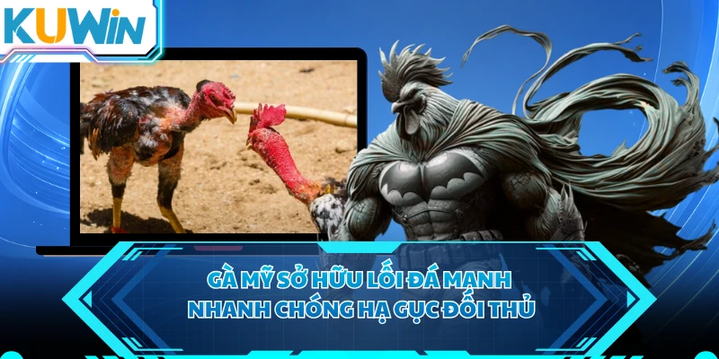 Gà Mỹ sở hữu lối đá mạnh nhanh chóng hạ gục đối thủ